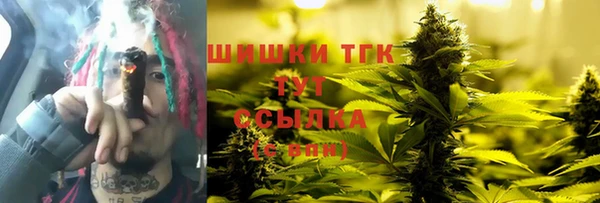 молекула духа Дмитров
