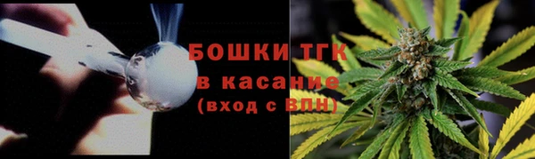 ECSTASY Гусев