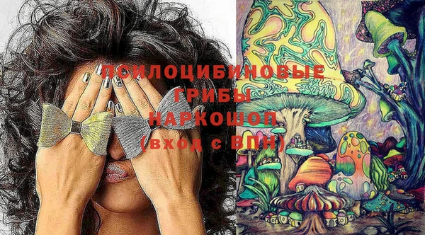 хмурый Дмитровск