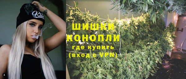 хмурый Дмитровск