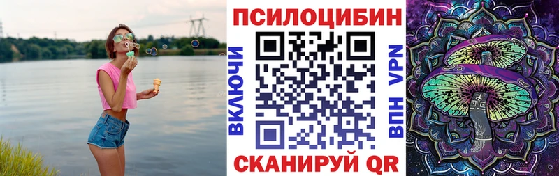 Псилоцибиновые грибы Psilocybe Северодвинск